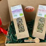 COFANETTO COCCOLE INVERNALI